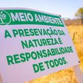 Caatinga de volta: Parque Estadual do Cânion do Rio Poti avança no reflorestamento