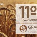 Safra de grãos 2024/25 é estimada em 345,2 milhões de toneladas com recorde na produção