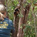 Centro de triagem da Semarh tem mais de 70 animais em tratamento para voltarem à natureza
