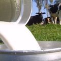 Sada participa de lançamento de nova cooperativa de produtores de leite em Piracuruca