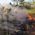 Bombeiros do Piauí registram 900 ocorrências de incêndios em vegetação em 2025