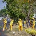 Prefeitura de Teresina intensifica mutirões de limpeza em todas as zonas da cidade