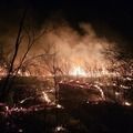 Brigadistas controlam incêndio de grandes proporções em Pimenteiras após quatro dias de combate