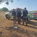 Polícia Militar resgata animais silvestres mantidos em cativeiro em Caraúbas do Piauí