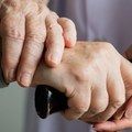 Com apoio da Sesapi, Dia Mundial do Alzheimer terá evento especial em Teresina