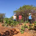 SAF conclui visitas técnicas às comunidades beneficiadas pelo projeto Piauí Sustentável e Inclusivo
