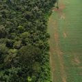 Brasil apresenta soluções de financiamento climático em Nova York
