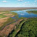 Dia Mundial dos Rios: Piauí reforça preservação de nascentes e repovoamento de peixes nativos