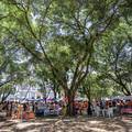Projeto “Vem pra Saraiva” movimenta o centro de Teresina neste domingo
