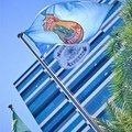Polícia Federal deflagra operação contra fraudes em concursos públicos