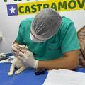 Castramóvel realiza castração gratuita de cães e gatos em Hugo Napoleão até quinta (9)