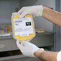 Hemopi recebe equipamentos do Novo PAC Saúde para ampliar produção e armazenamento de plasma