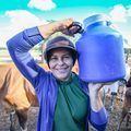 Governo do Piauí vai investir R$ 6,7 milhões para impulsionar a produção de leite no Sul do estado