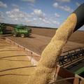 Balança Comercial do Piauí registra superávit de R$ 573 milhões no mês de abril