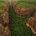 Piauí lidera redução do desmatamento da Mata Atlântica no Brasil, com queda de 78%