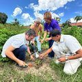 Pro Verde Piauí atinge quase 4 milhões de mudas e reforça ações de recuperação ambiental no estado